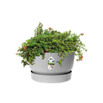 greenville coupe 33cm living ciment